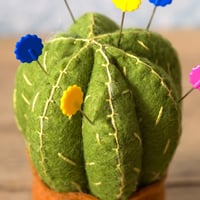 Image 2 of Cactus Pincushion Kit