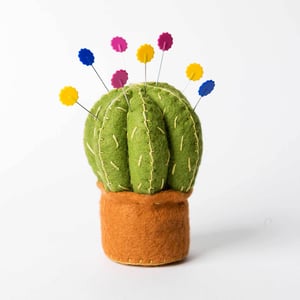 Image of Cactus Pincushion Kit