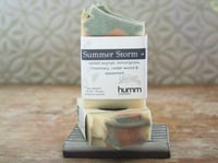 Image 2 of Summer Storm (v)