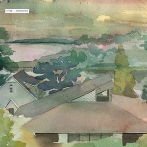 Image of Tyvek - 'Overground' LP (Ginkgo)