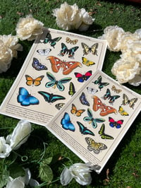 Image 1 of Butterflies of ACNH Print