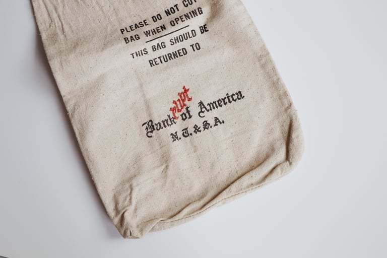 BANKRUPT OF AMERICA → Image 4