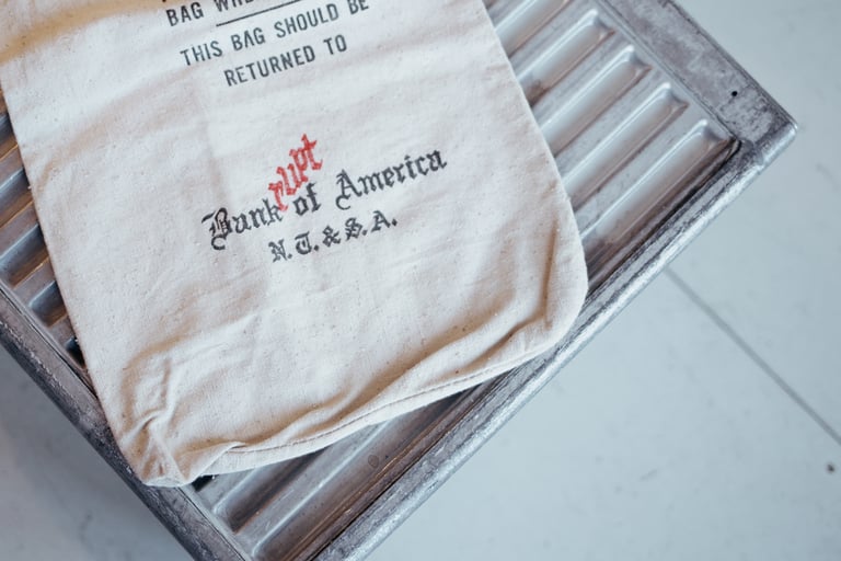 BANKRUPT OF AMERICA → Image 3