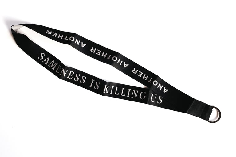 Sameness Is Killing Us → Image 2