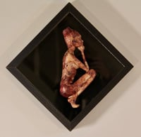 Image 4 of Elfini in Hibiscus & Black Velvet