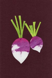 Image 2 of Turnip