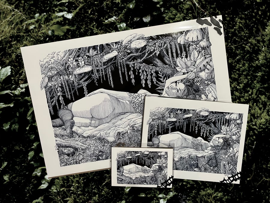 Image of EDEN Prints