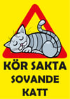 Kör sakta sovande katt