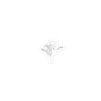 Image 1 of Floral Sketch stickers