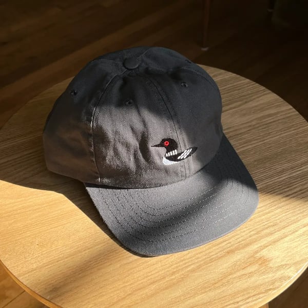 Image of Loon Hat
