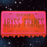 Fluorescent Red Slime License Plate Covers