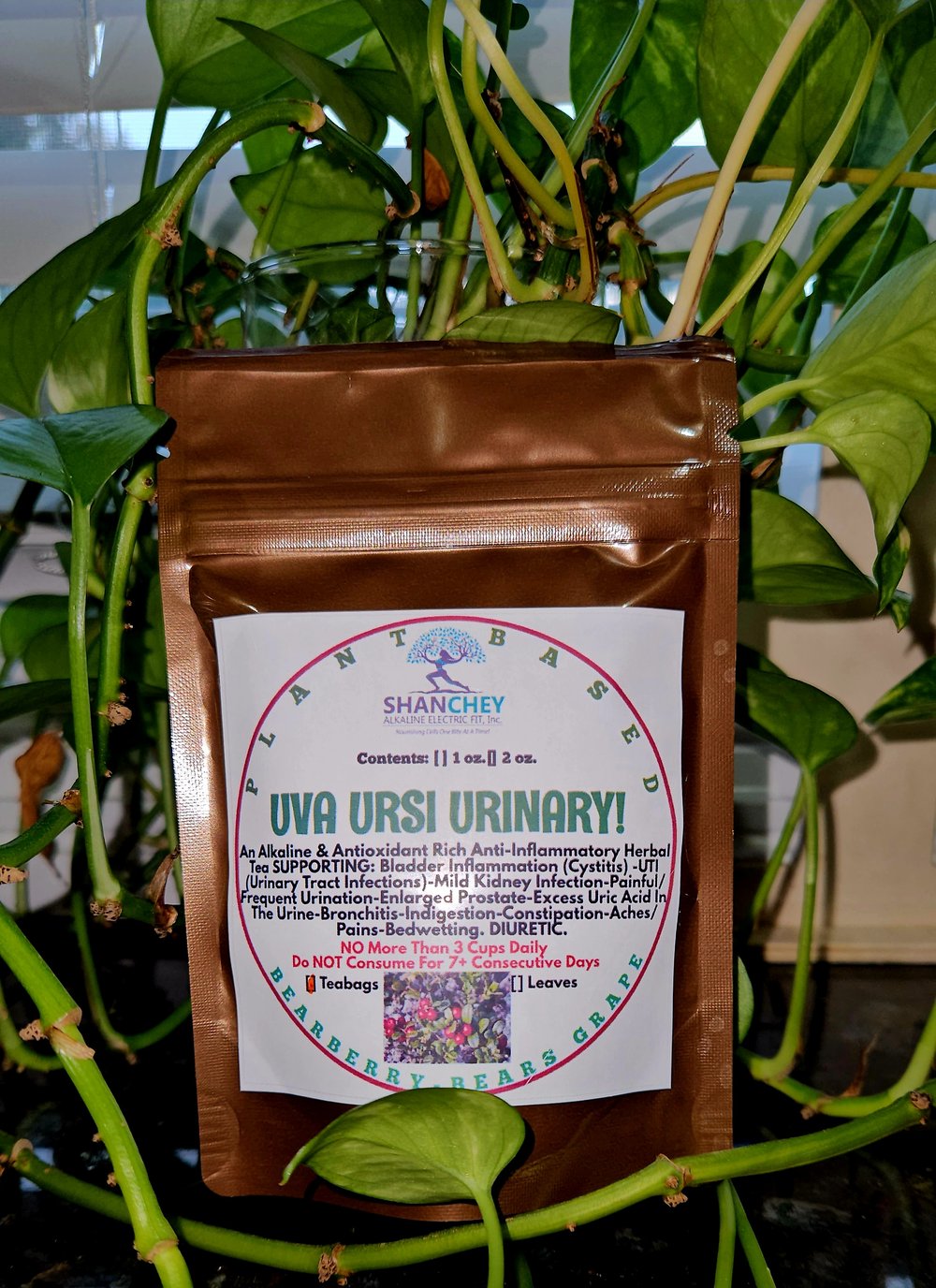 UVA URSI Urinary! UTI-Kidney/Bladder/Bedwetting-Enlarged Prostate-Bronchitis-Constipation-Uric Acid