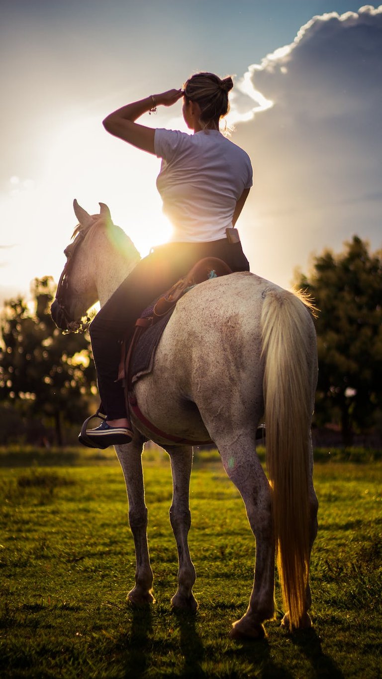 Horse back rides