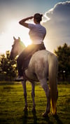 Horse back rides