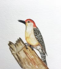 Bird No. 1