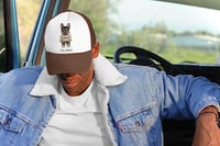 Image 1 of DOG MONEY TRUCKER HAT