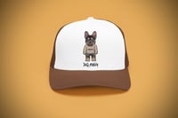 Image 2 of DOG MONEY TRUCKER HAT