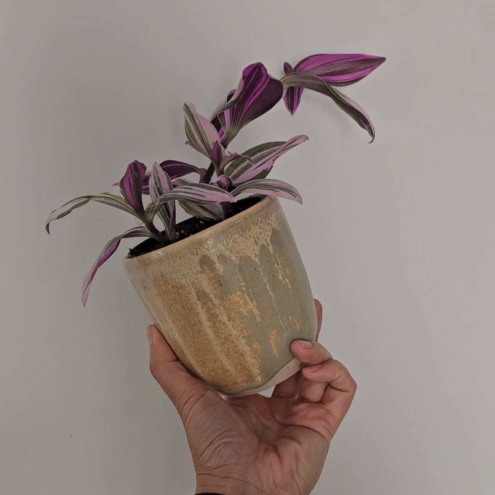 Image of Medium planter - Dune