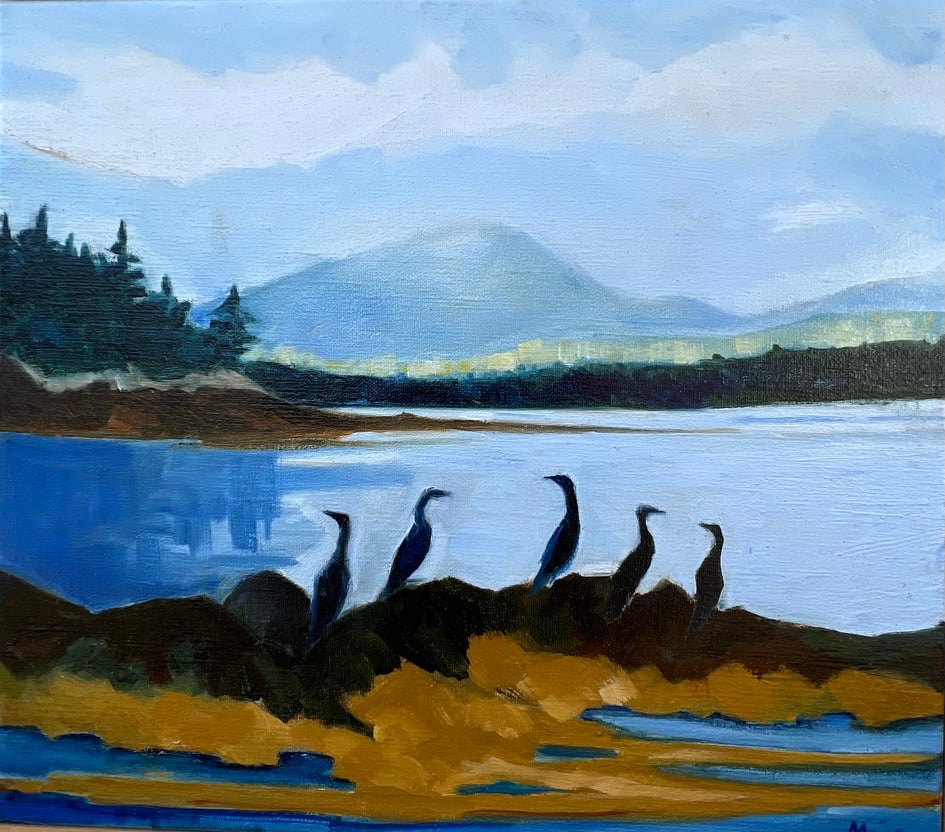 Image of Cormorants