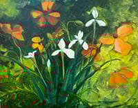 White Iris and Poppy