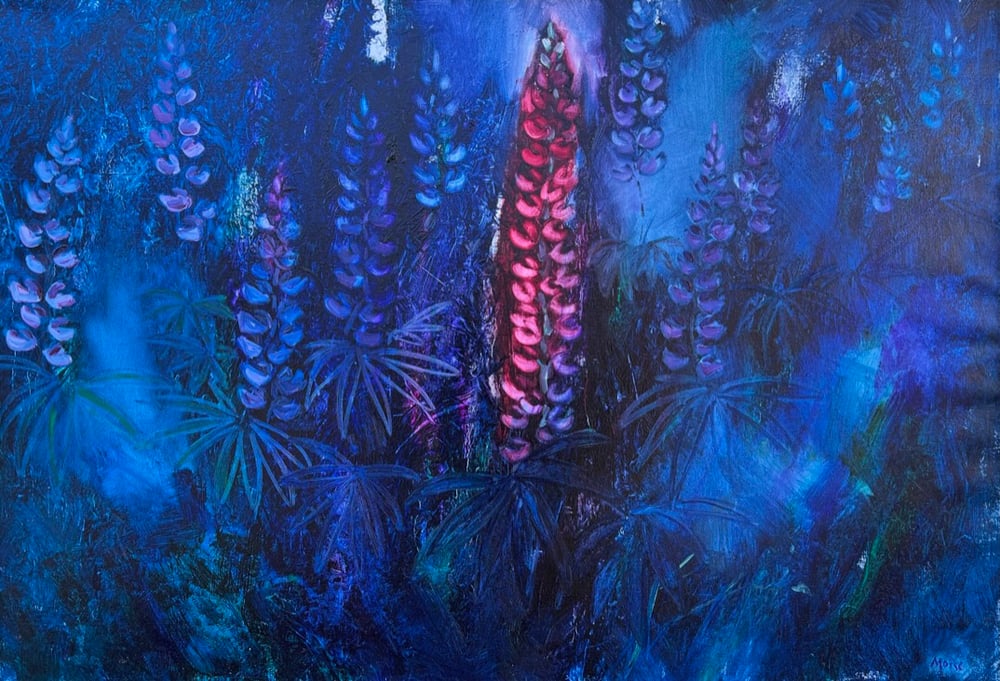 Image of  Evening of the Lupine