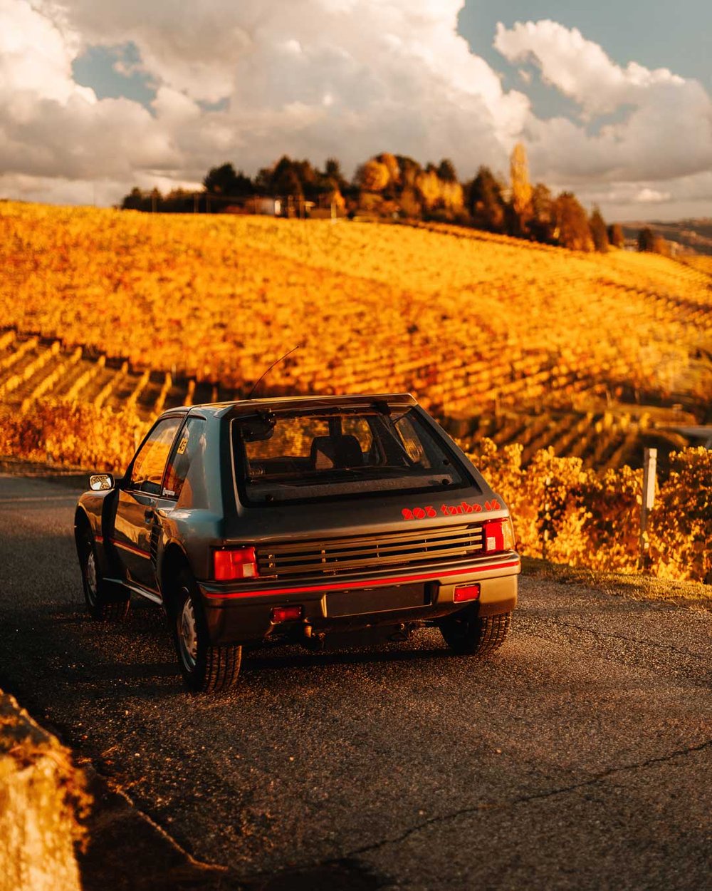 205 Langhe 1