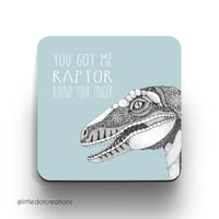 You Got Me Raptor coaster