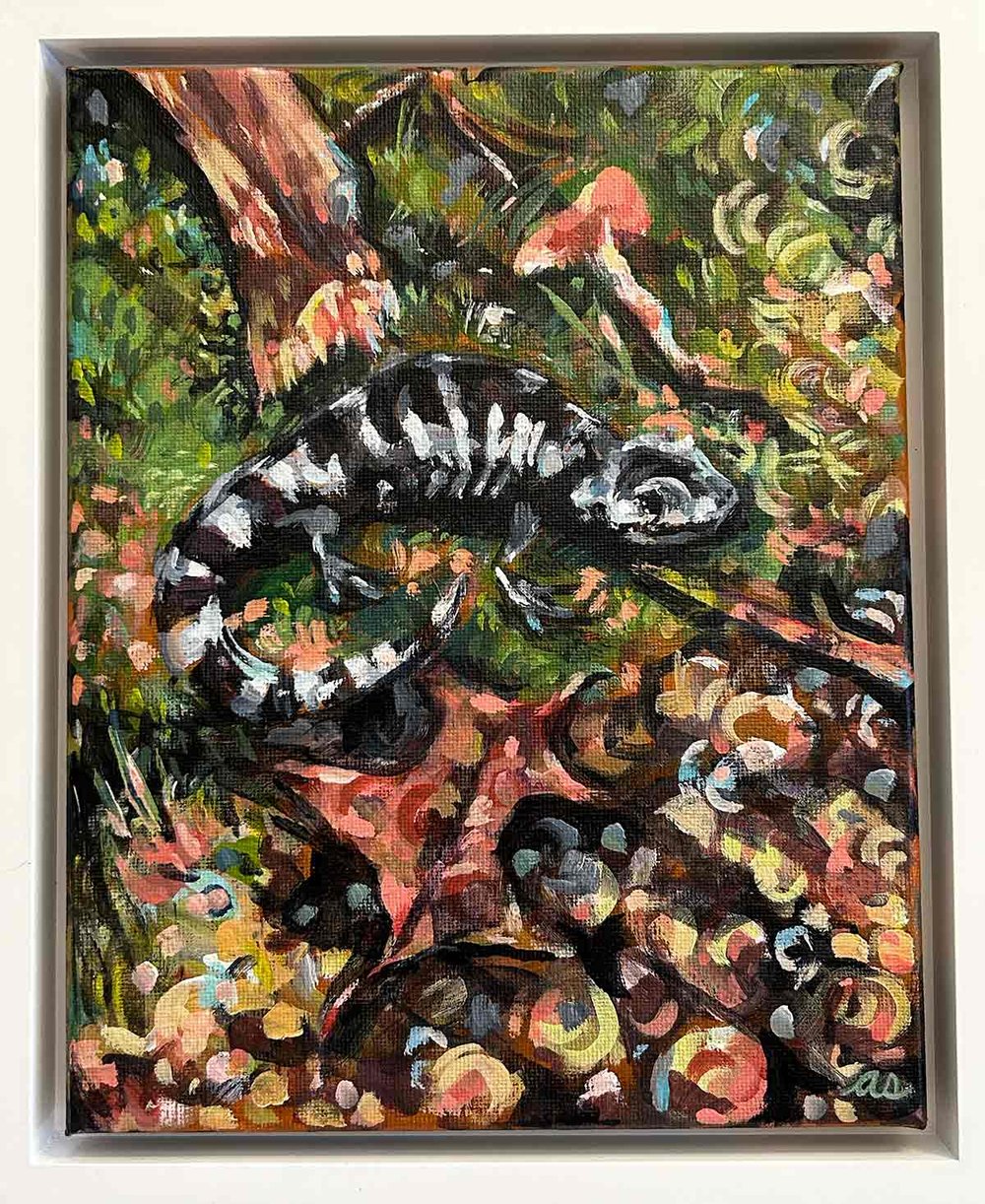 A Light Drizzle – Marbled Salamander painting