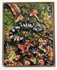Image 5 of A Light Drizzle – Marbled Salamander painting