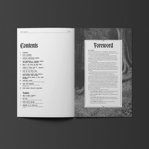 Script Wizards Issue 1 (Pre-order)