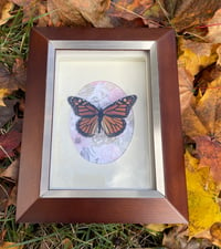 MONARCH BUTTERFLY BOX