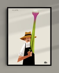 Image 1 of Cipol/LOTTO