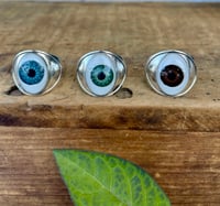 Image 1 of EYEBALL RINGS