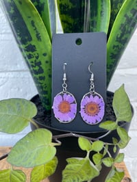 PURPLE DAISY EARRINGS