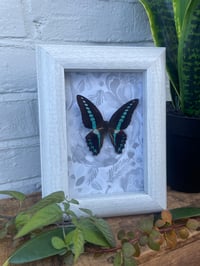 Image 1 of WHITE BOHO BUTTERFLY BOX