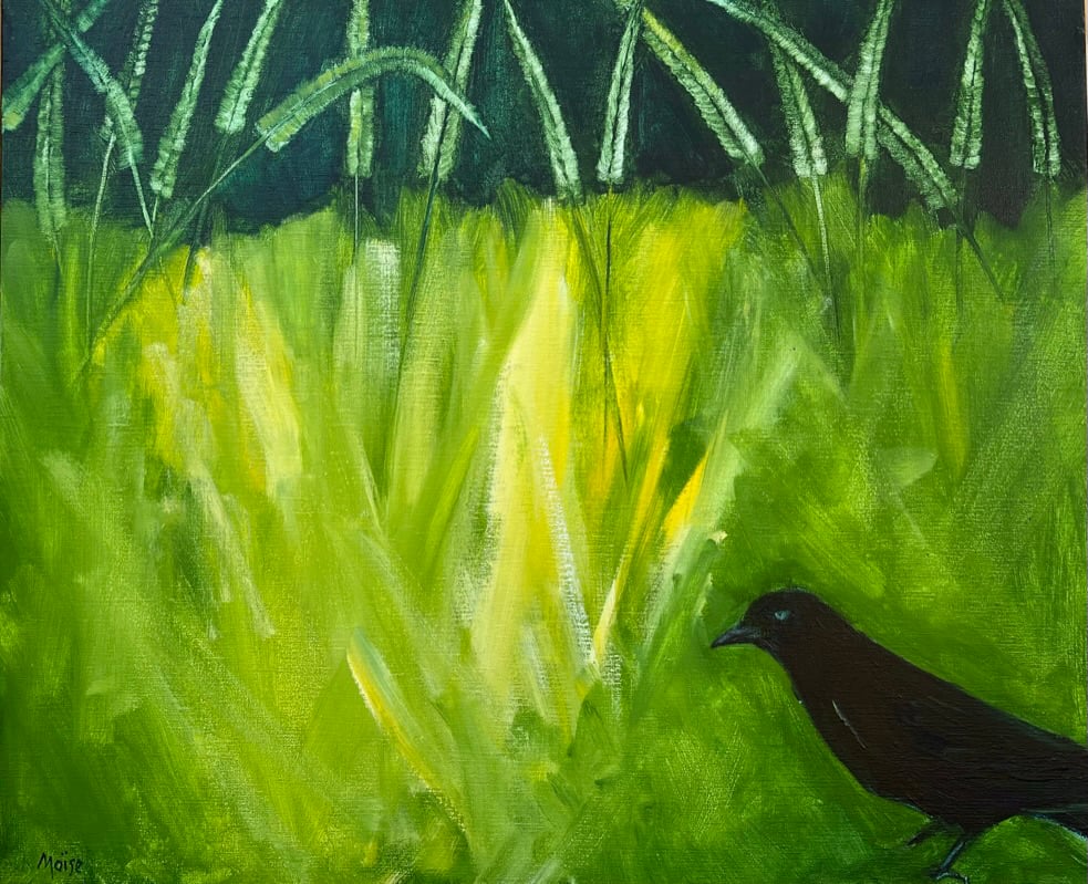 Image of Crow in Grass #4