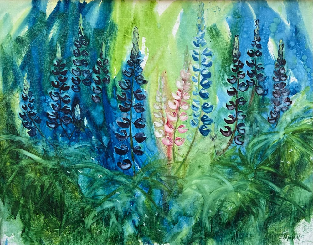 Image of Pink and Blue Lupine