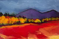 Black and Schoodic from the Barrens