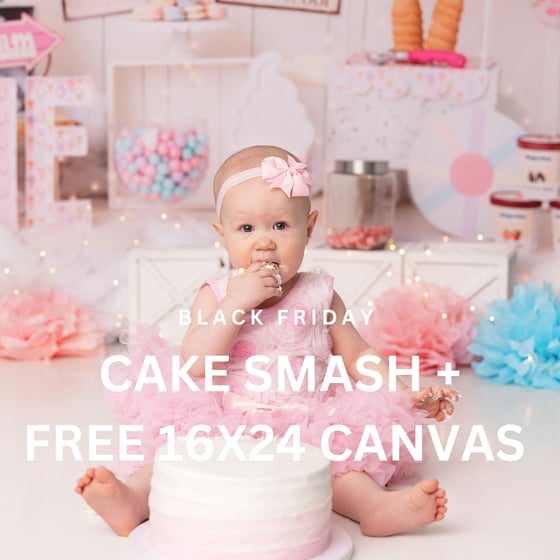Image of BLACK FRIDAY SPECIAL- STANDARD CAKE SMASH + 16x24 CANVAS