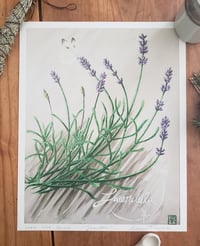 Image 3 of Botanical Art Prints