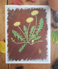 Image 2 of Botanical Art Prints
