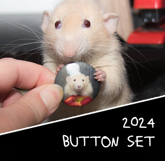 Image of Set of 2024 MMH Buttons 