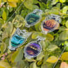 Biomes Transparent Sticker