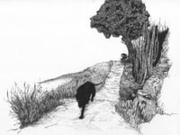Image 1 of Strange Solace