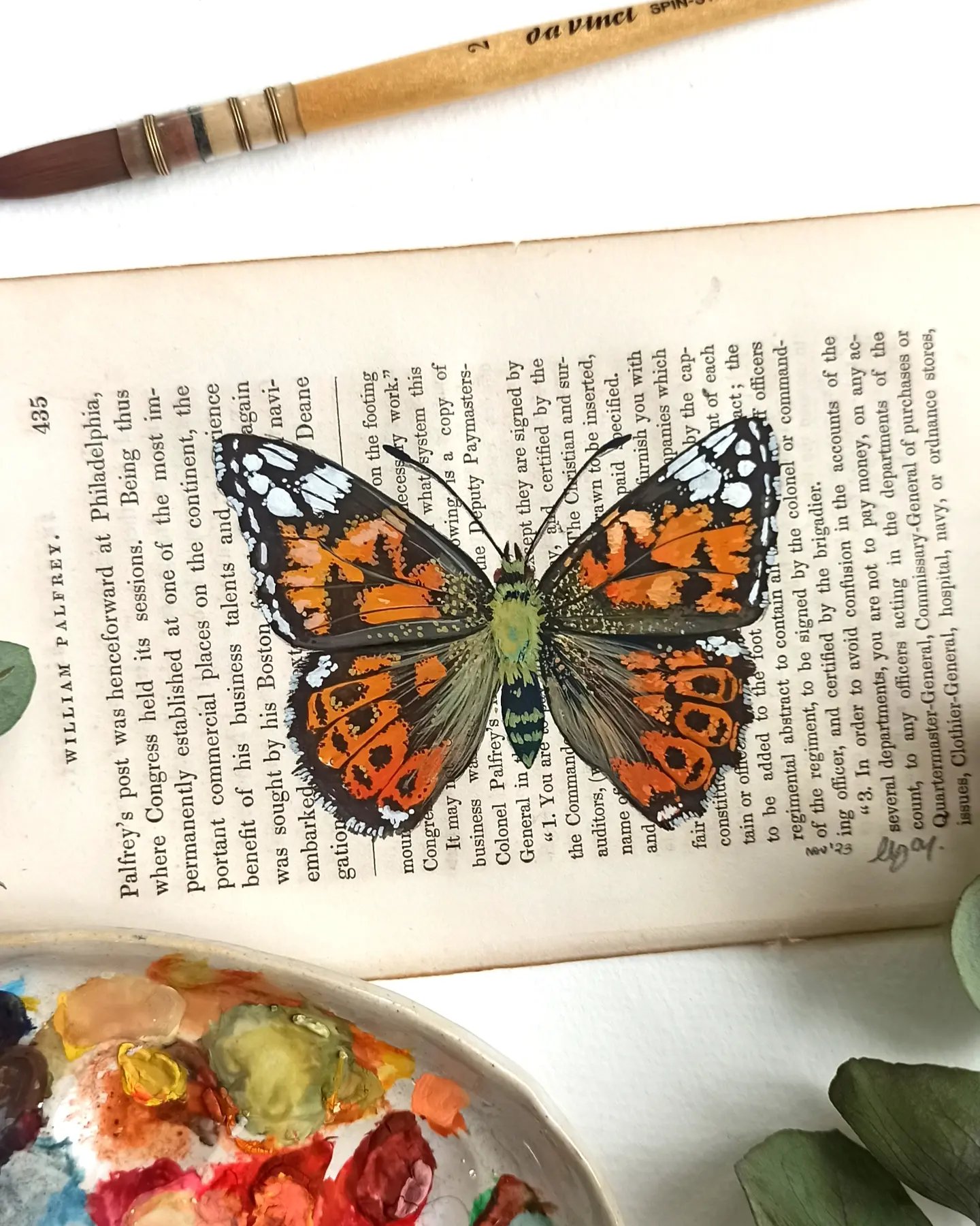 Image of Life in Old Pages Collection Insect n. 22 Vanessa Indica 