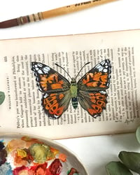 Image 3 of Life in Old Pages Collection Insect n. 22 Vanessa Indica 