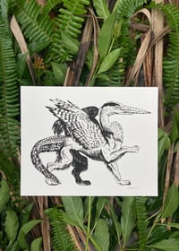 Everglades Griffin