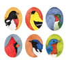 2024 Birds of All Seasons Calendar