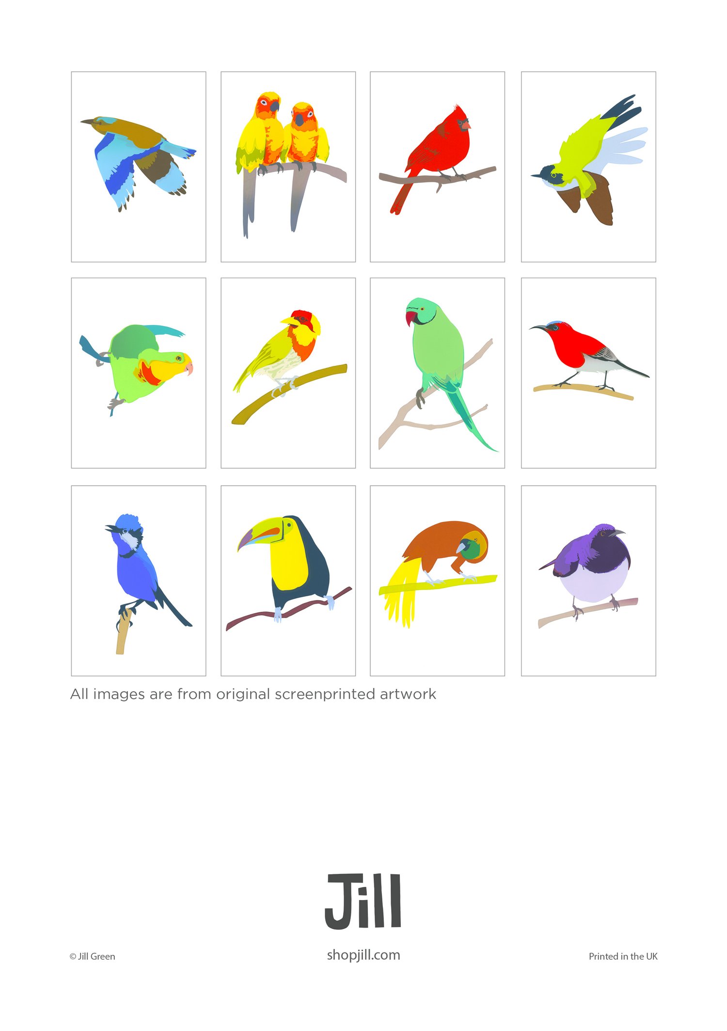 Image of 2024 Exotic Birds Calendar – All new birds!