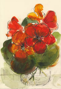 Nasturtium no. 2